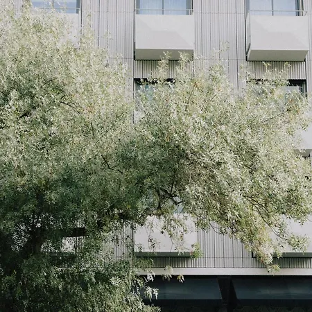 Wilde Liberdade Лиссабон